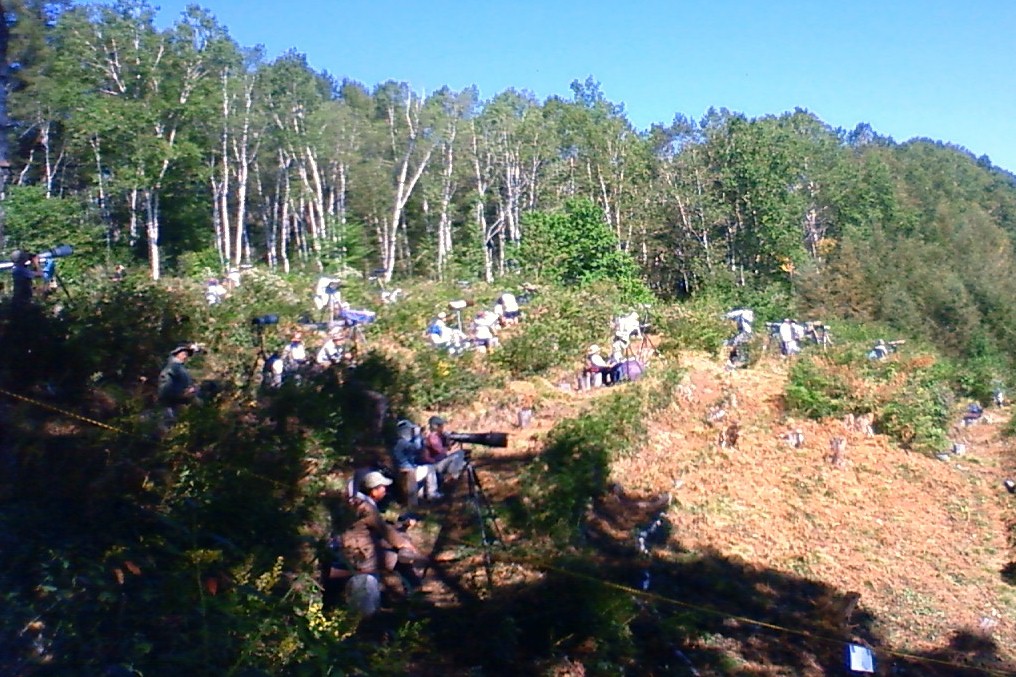 c0136654_1494690.jpg