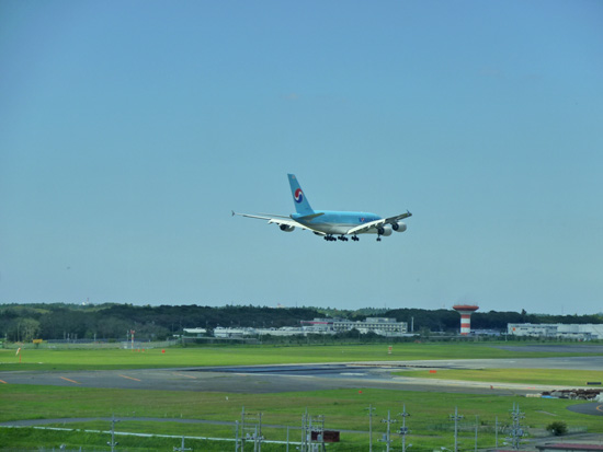 f0054556_202588.jpg