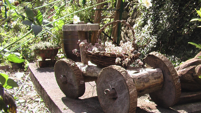 b0208961_6591355.jpg
