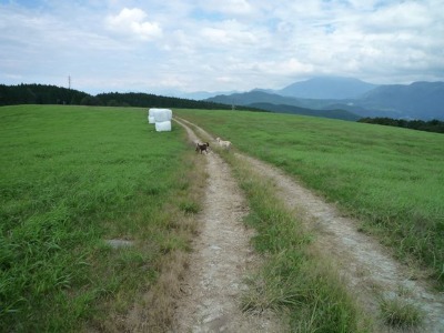 f0177261_1631258.jpg