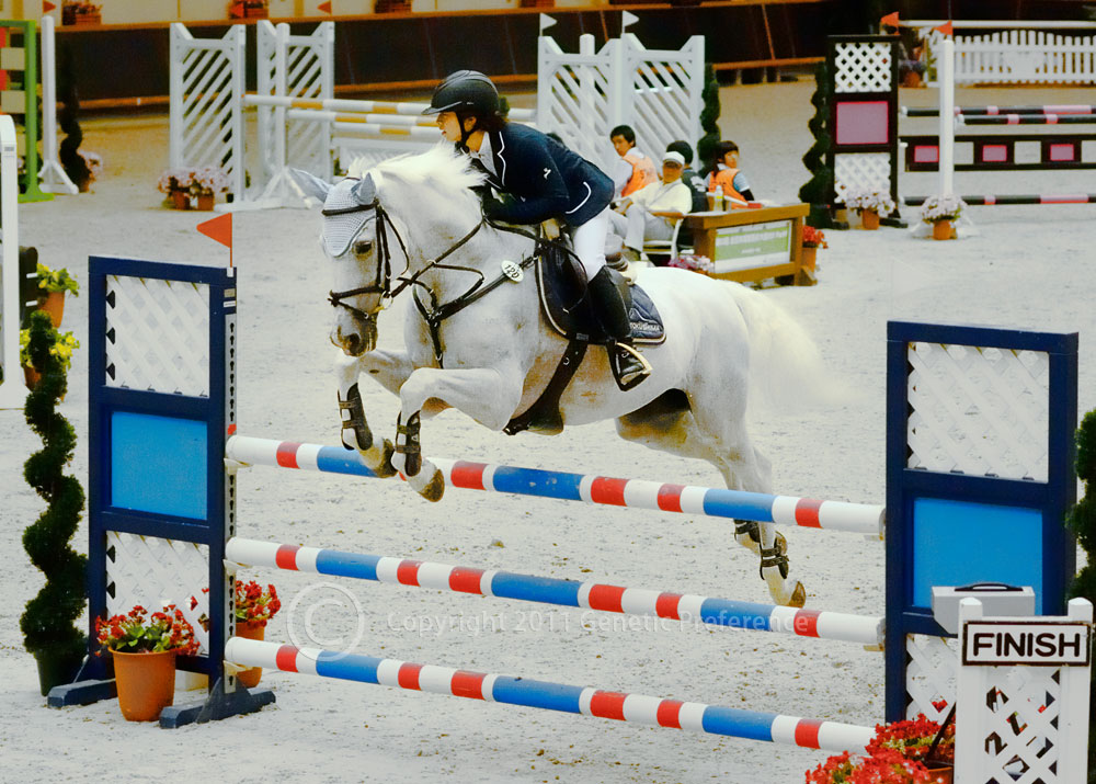a0111162_20104917.jpg
