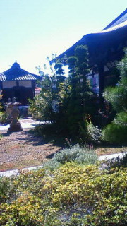 a0137263_053727.jpg