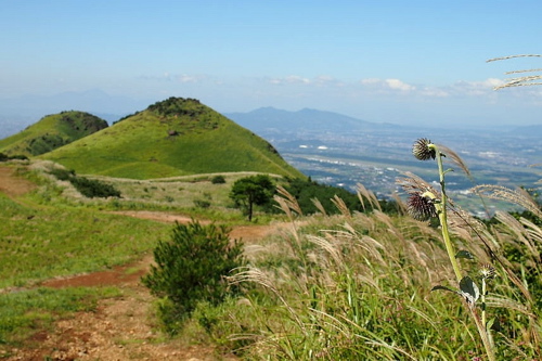 d0105063_12104286.jpg