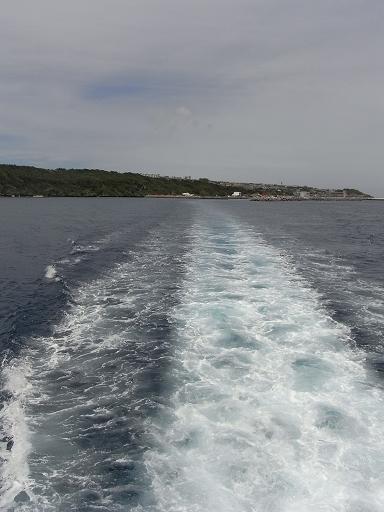 f0110663_1311383.jpg