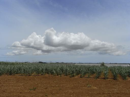 f0110663_13115936.jpg