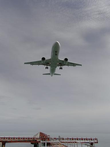 f0110663_1373370.jpg