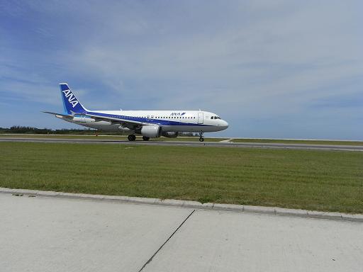 f0110663_1381429.jpg