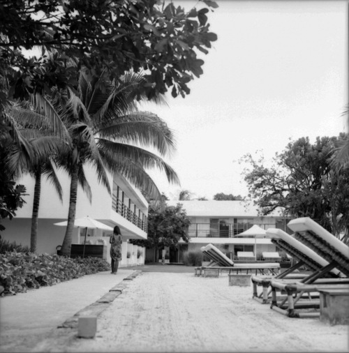 b0149365_1991714.jpg
