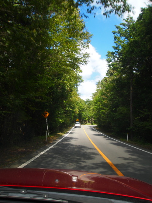 c0122670_96495.jpg