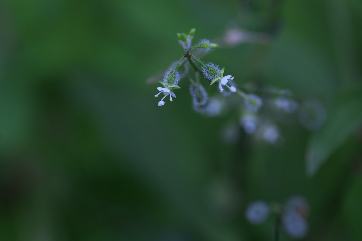 a0083081_1811051.jpg
