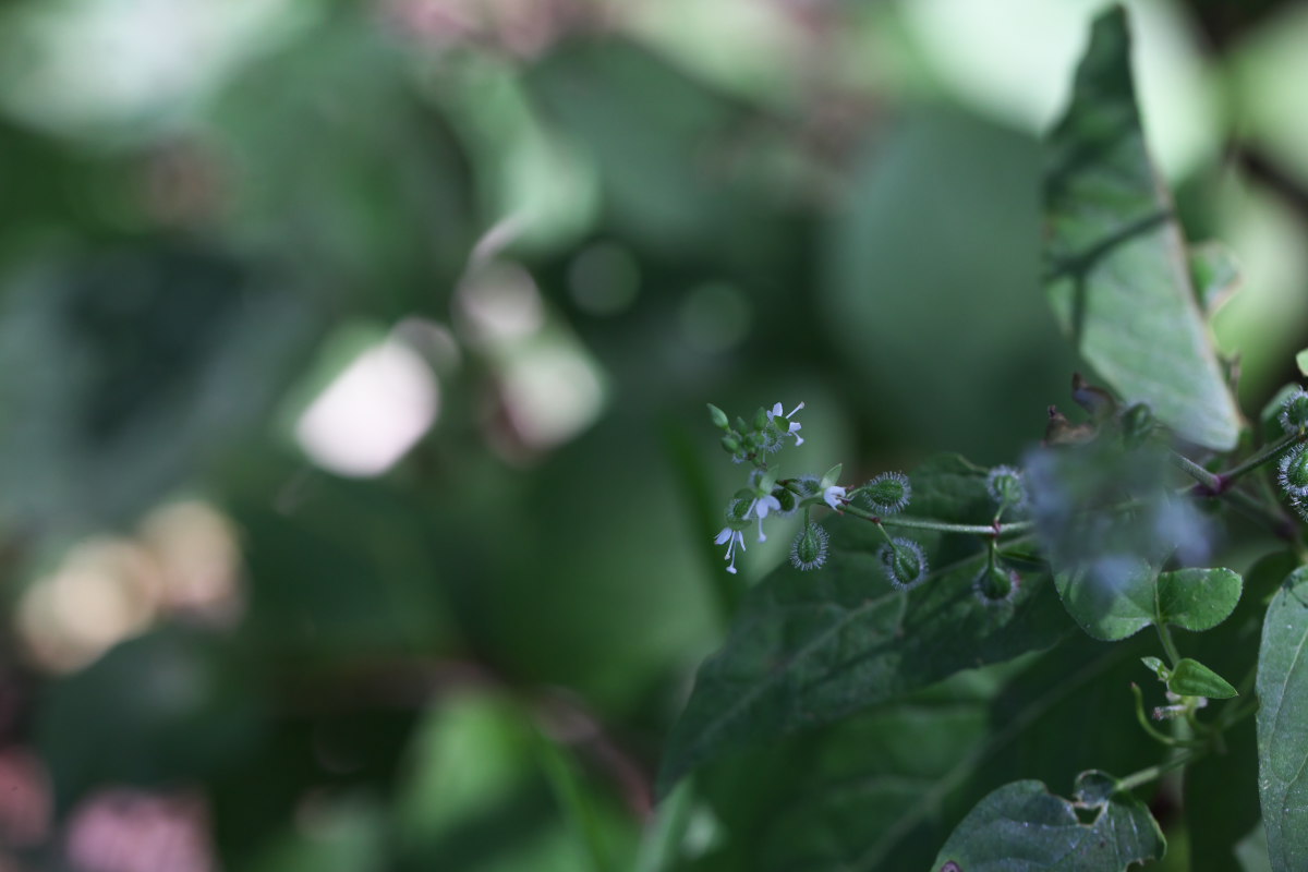 a0083081_1823379.jpg