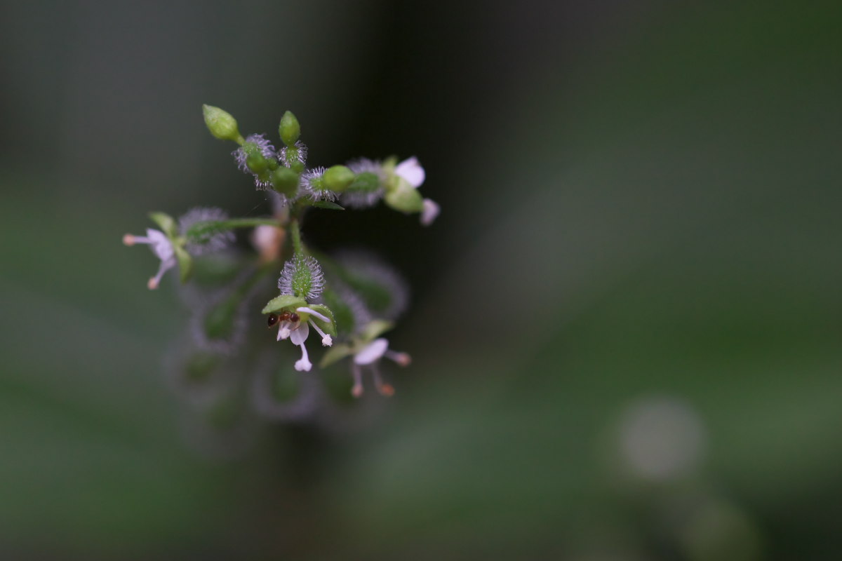 a0083081_1824720.jpg