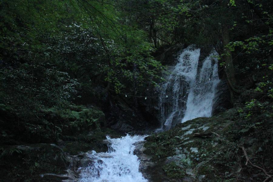 f0138588_141106.jpg