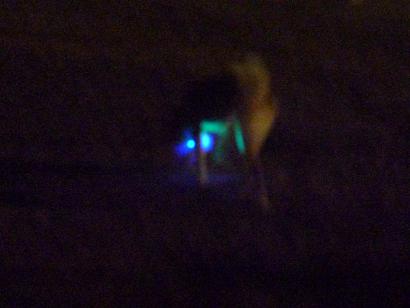 c0123890_2151215.jpg