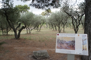 e0206490_19344854.jpg
