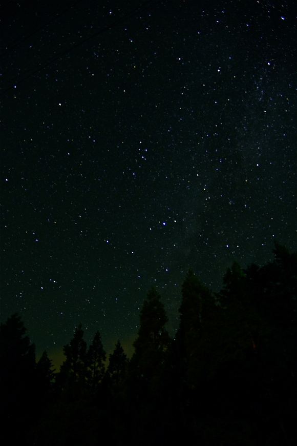 f0141392_2317794.jpg