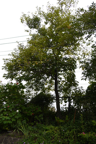 f0222692_10352238.jpg