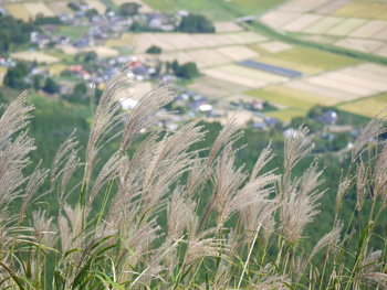 a0133493_936628.jpg