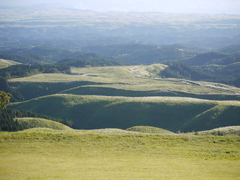 a0133493_9394326.jpg