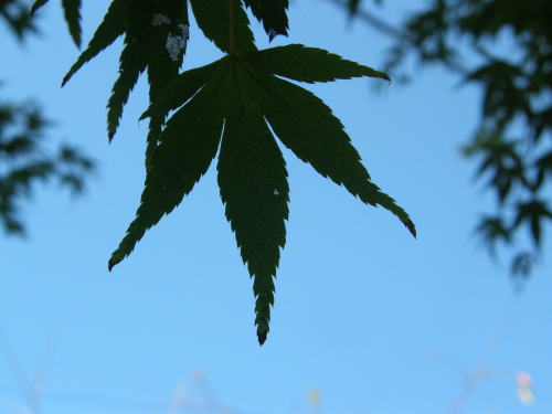 e0017396_0174727.jpg