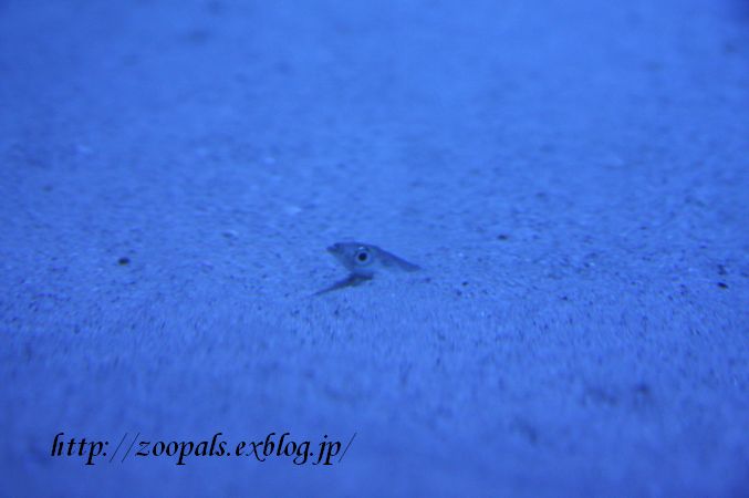 f0158697_2225895.jpg