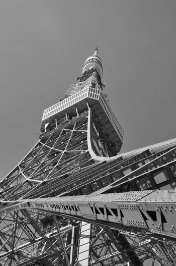 a0161698_15435354.jpg