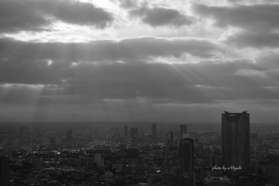 a0161698_1546736.jpg