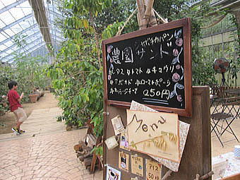 b0028299_2049469.jpg