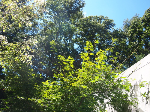 d0170799_028870.jpg