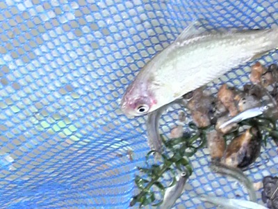 f0082402_22175132.jpg