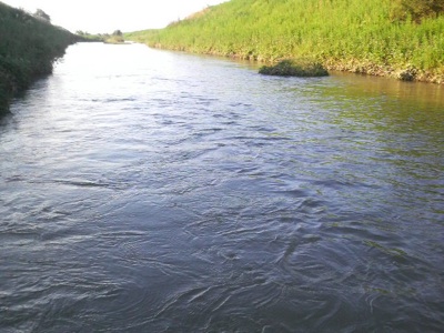 f0082402_2243277.jpg