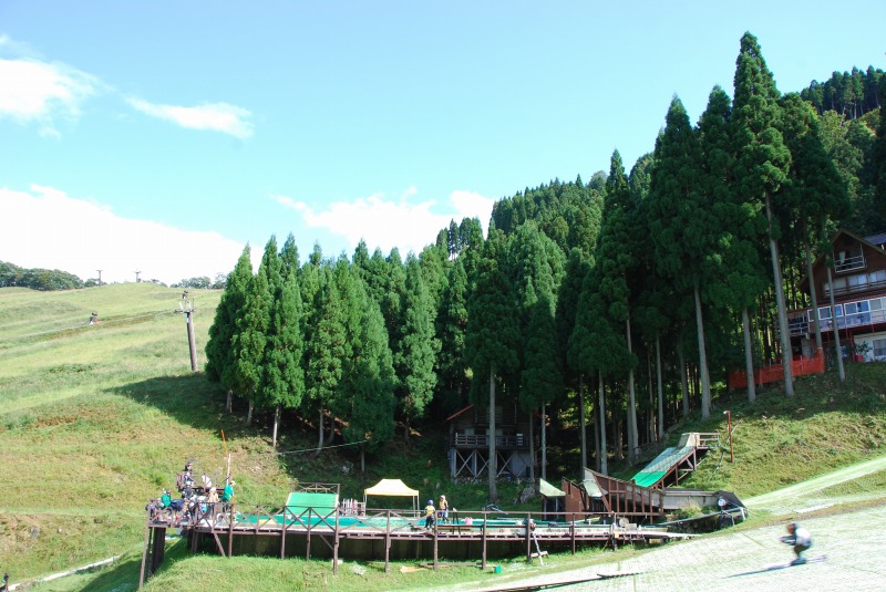 b0187505_136561.jpg