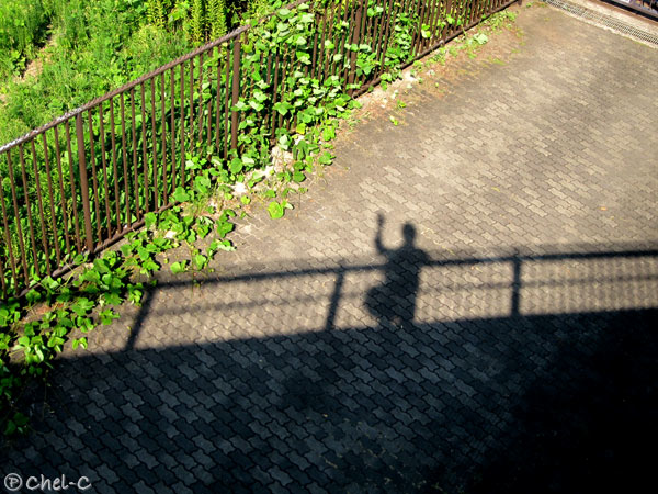 a0154706_6512080.jpg