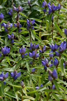 f0041606_9102474.jpg