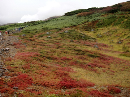 f0041606_971087.jpg