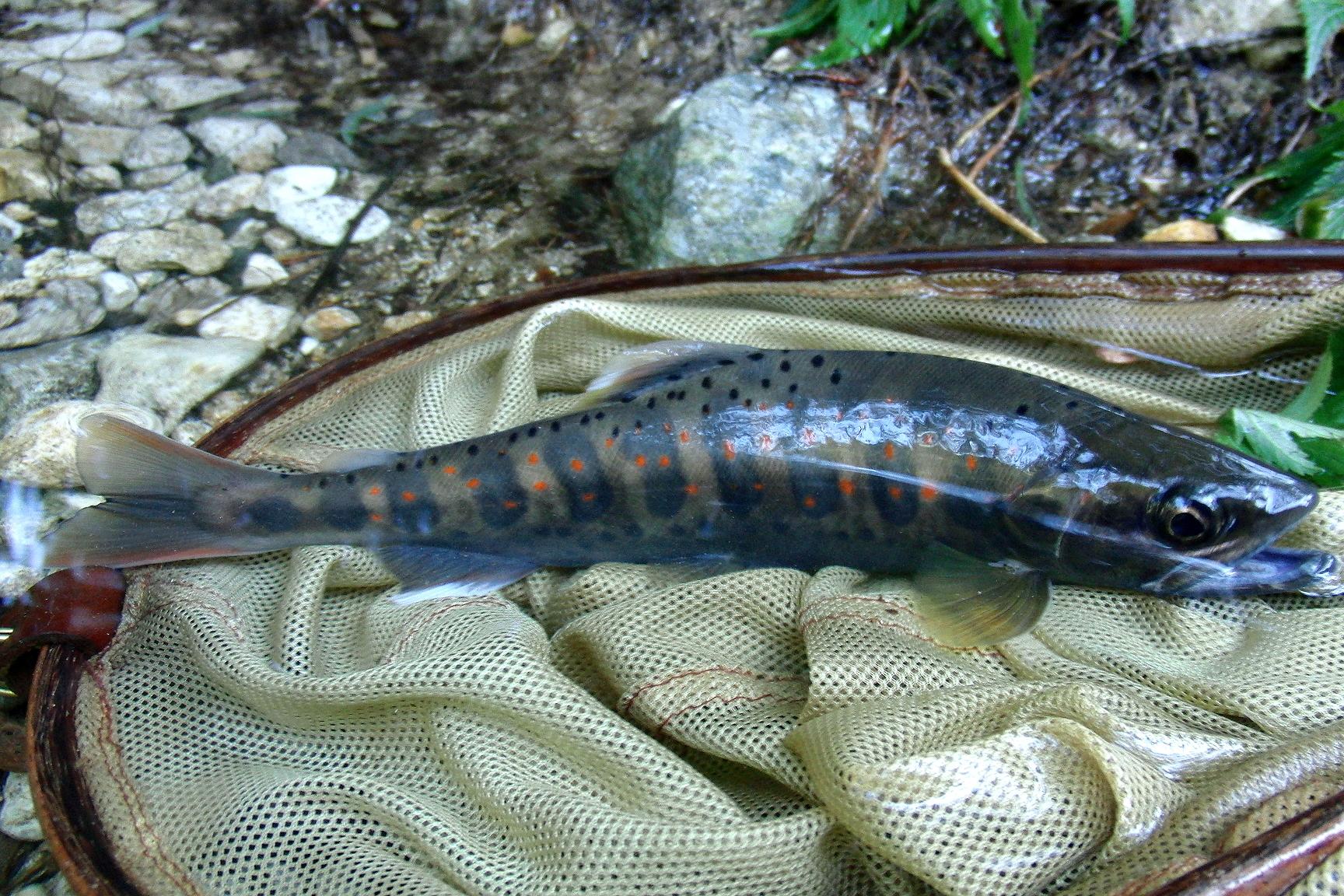 d0126708_1442075.jpg