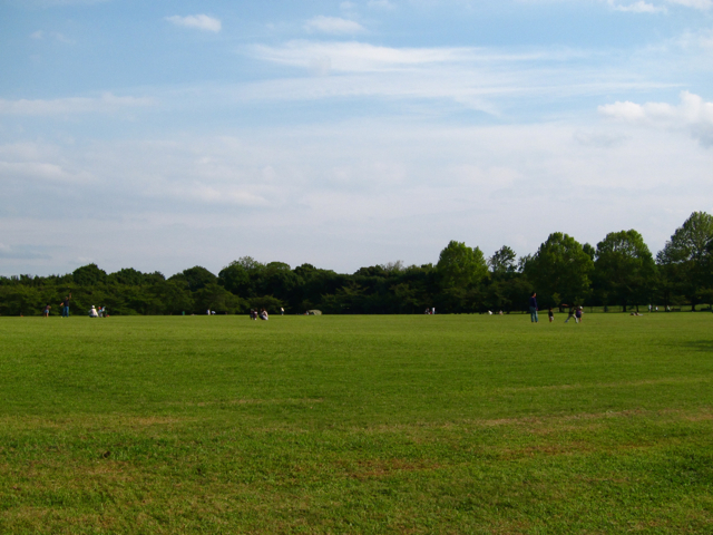 a0129311_1365437.jpg
