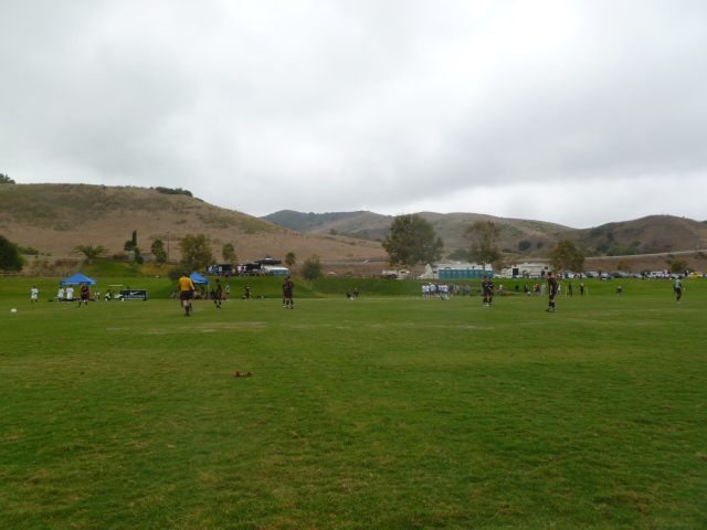 a0144811_823656.jpg