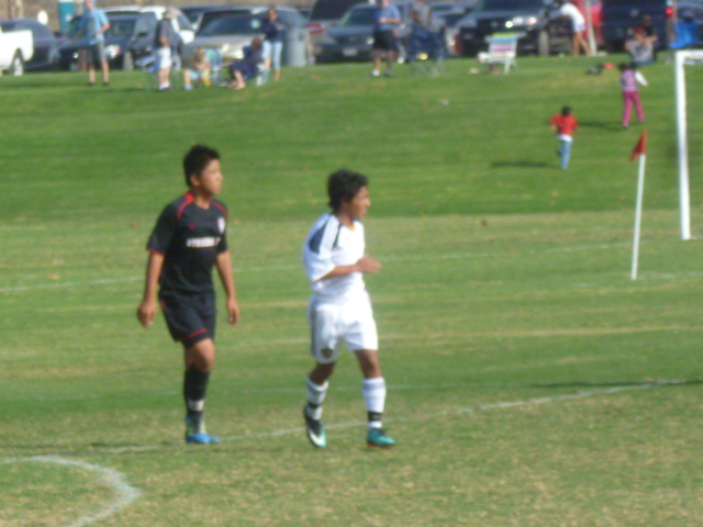 a0144811_825344.jpg