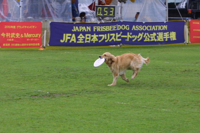 e0204314_1644879.jpg