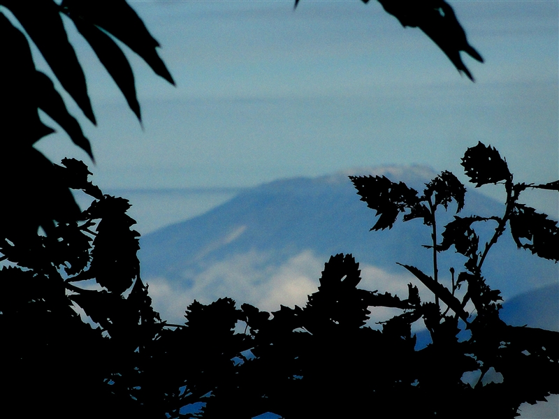 a0127015_2124528.jpg