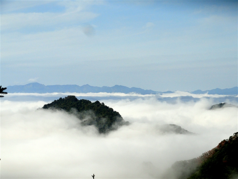 a0127015_21254936.jpg