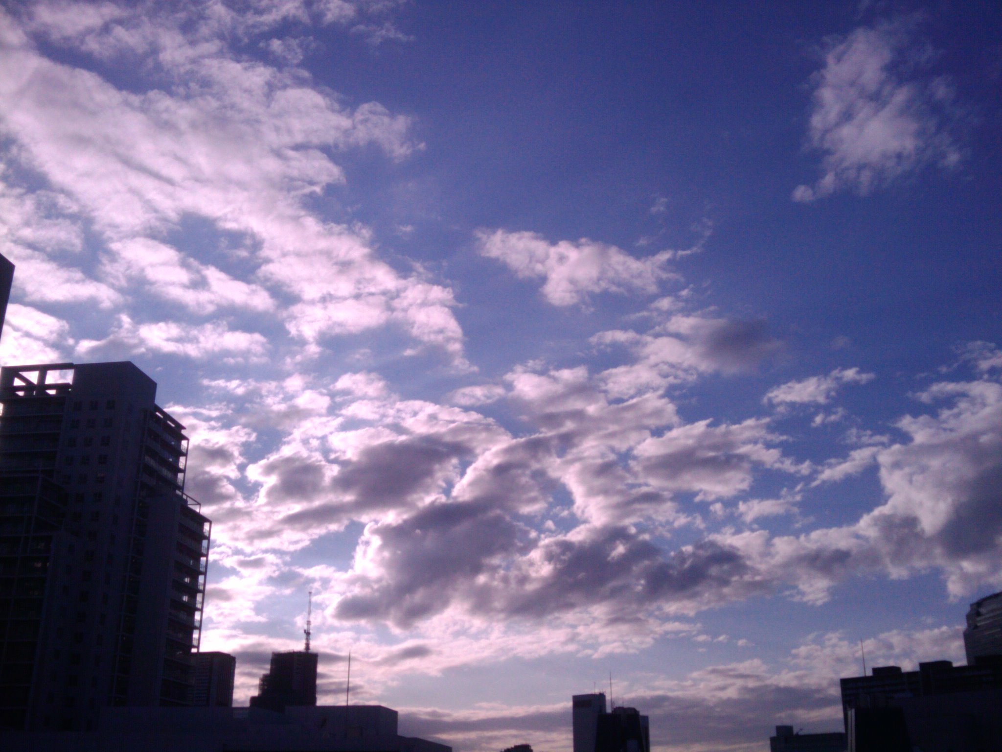 d0119217_2384914.jpg
