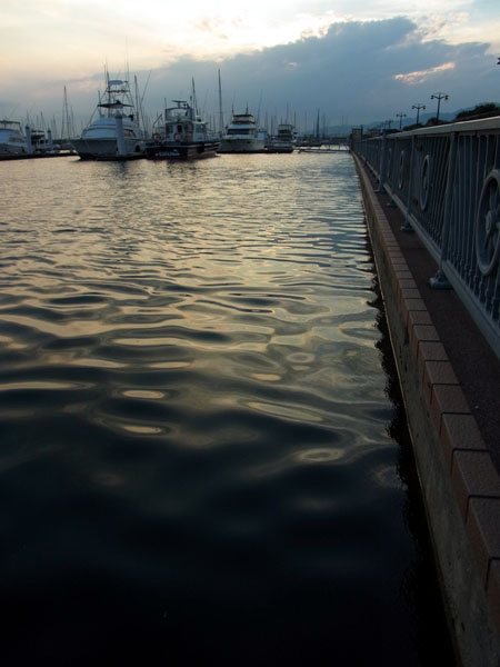 e0083517_1412123.jpg