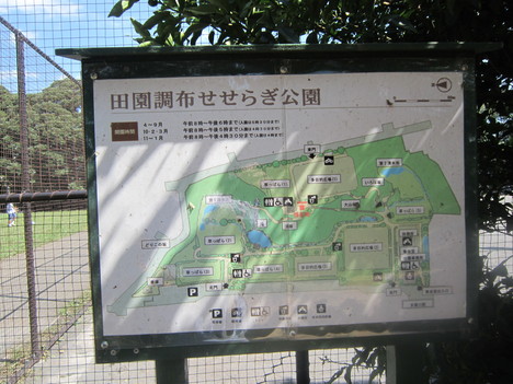d0156625_0575457.jpg