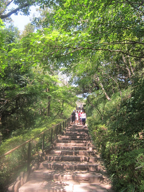 d0156625_0584252.jpg