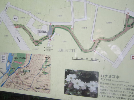 d0156625_119485.jpg