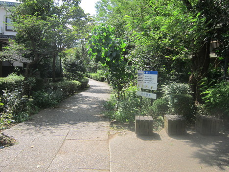 d0156625_119652.jpg