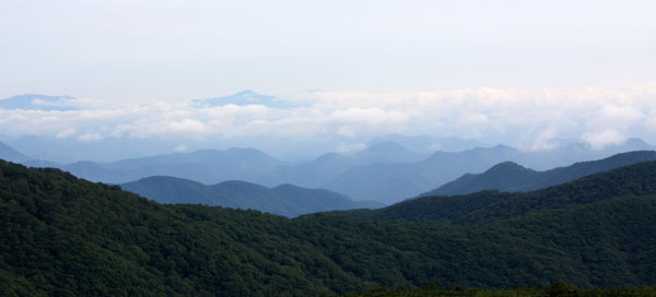 f0147025_21595560.jpg