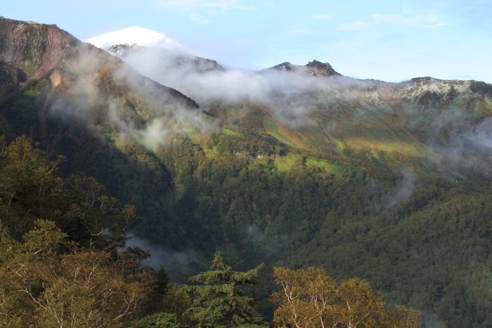 c0215627_7393538.jpg
